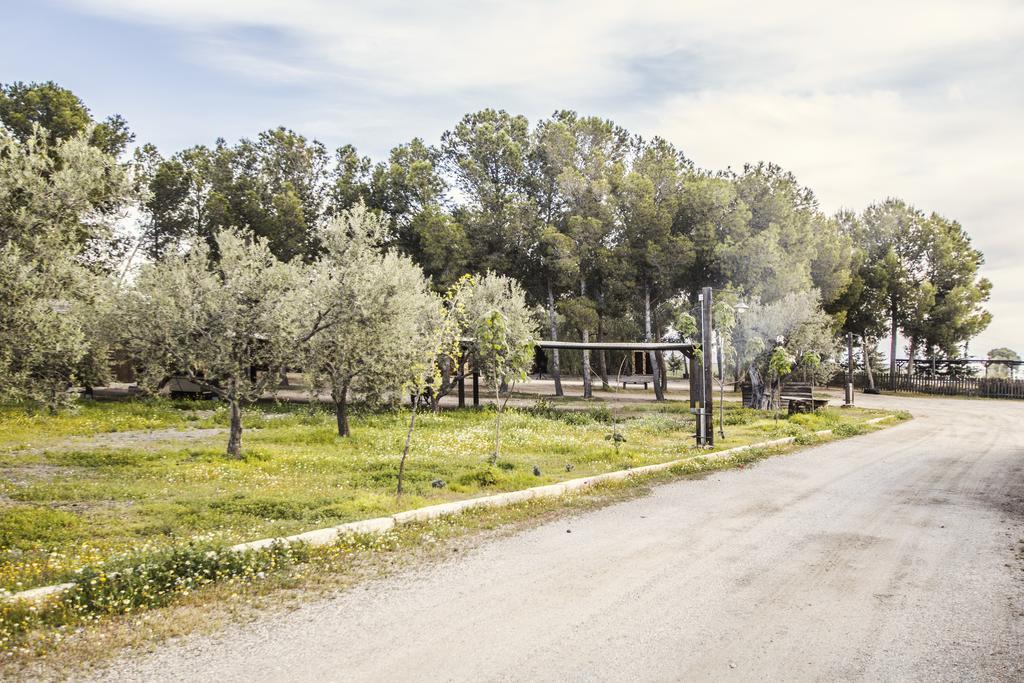 Alojamientos Rurales Los Albardinales Tabernas Ngoại thất bức ảnh